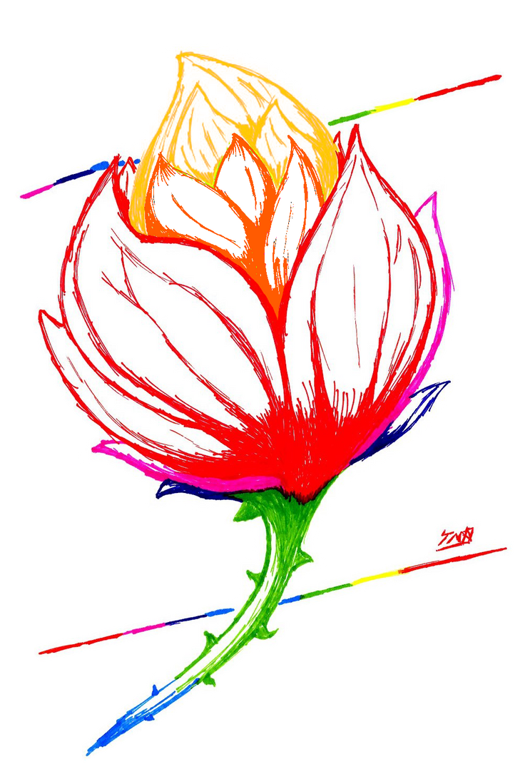 rainbow_rose_by_thechaosblue-d8n3ps0.png