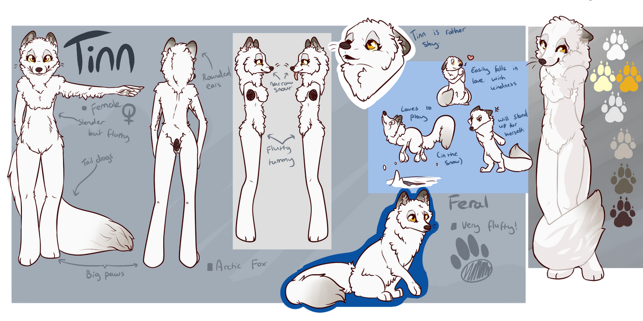 tinn_reference_sheet__cm__by_thatalbinothing-d9nbhnz.png