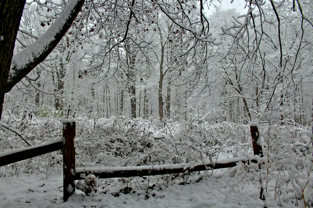 snowy_fence_by_abekowalski-dar1x5w.png
