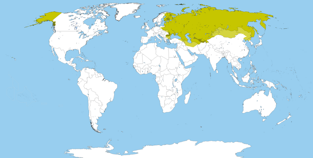 The Russian Empire In 16