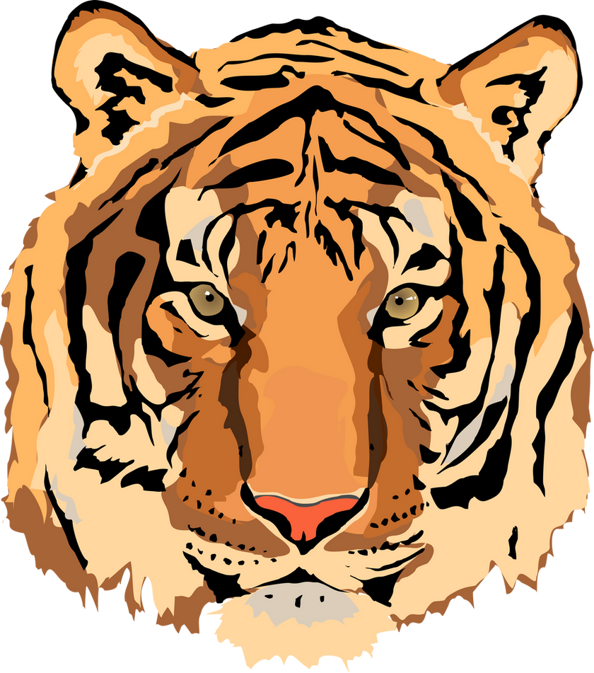 tiger clipart png - photo #29