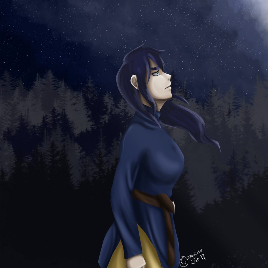 the_girl_who_stole_the_stars_by_inquisitorcat-dbu8yhj.png