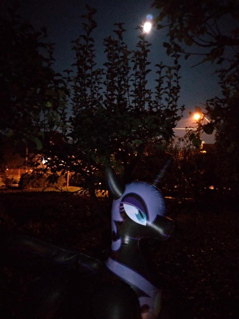 [Obrázek: nightmare_moon_its_watching_you_by_arnie...cqpw48.jpg]