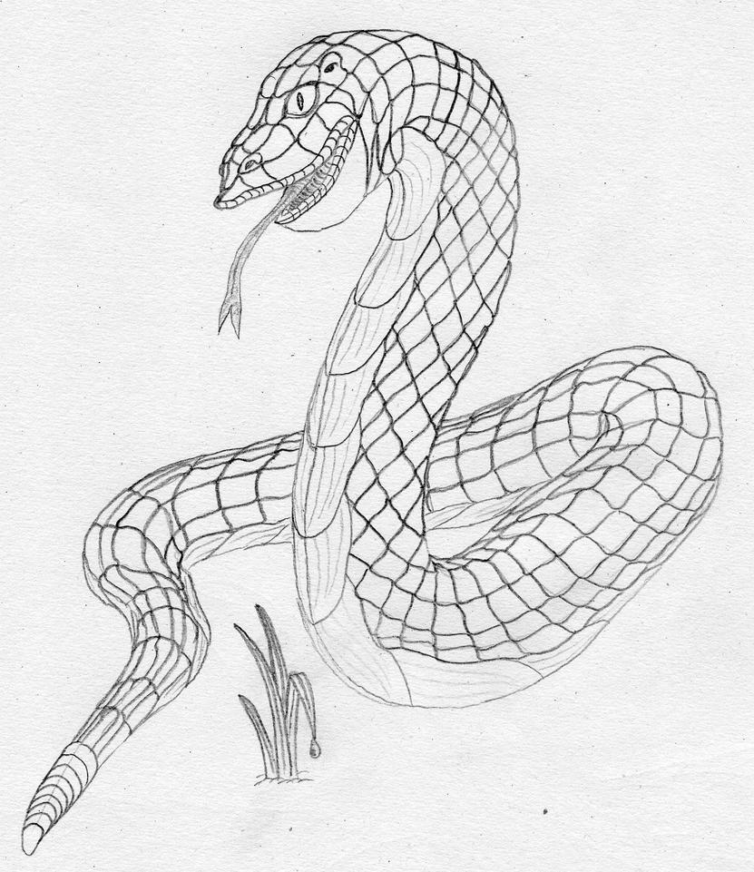 Snake sketch by Vithsiny on DeviantArt
