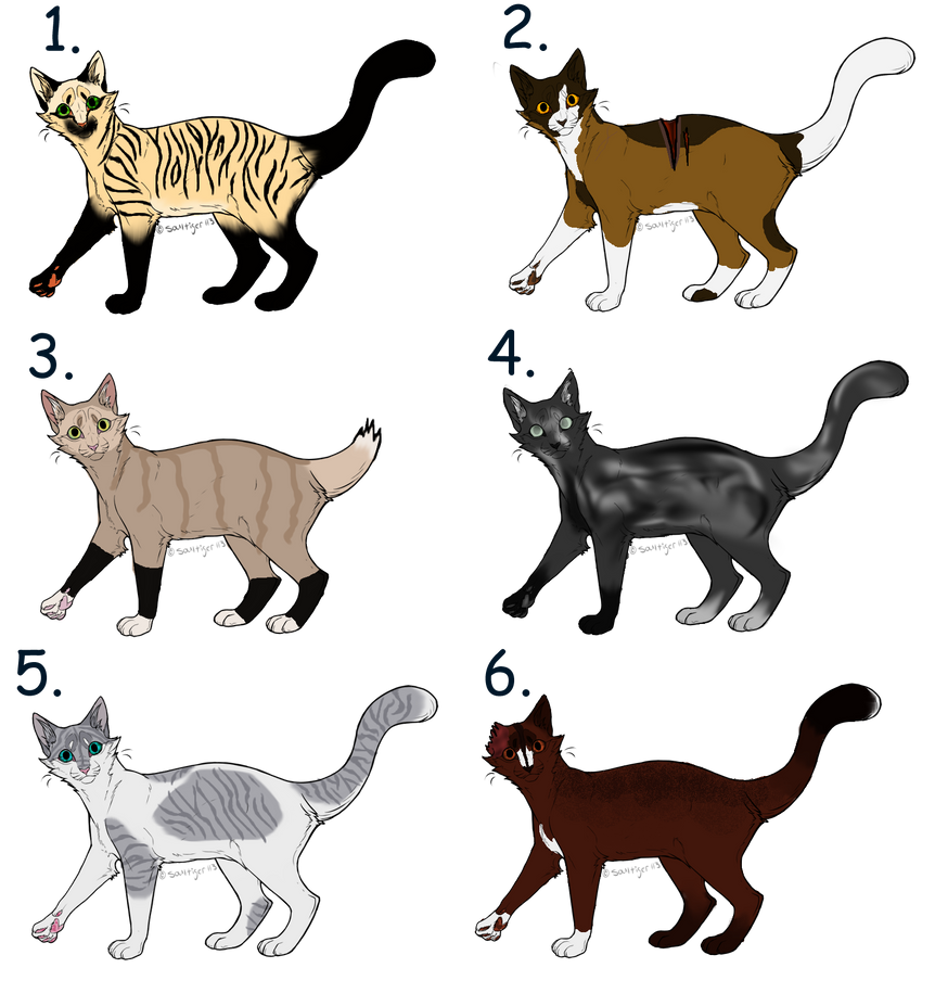OC Warrior Cat Adopts-Closed by Sukida-Adopts on DeviantArt