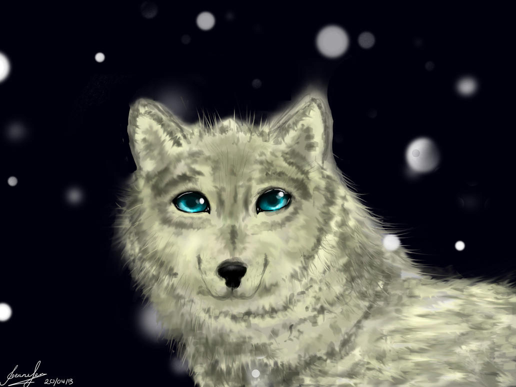 The Blue Eyed Wolf by Rinjen on DeviantArt