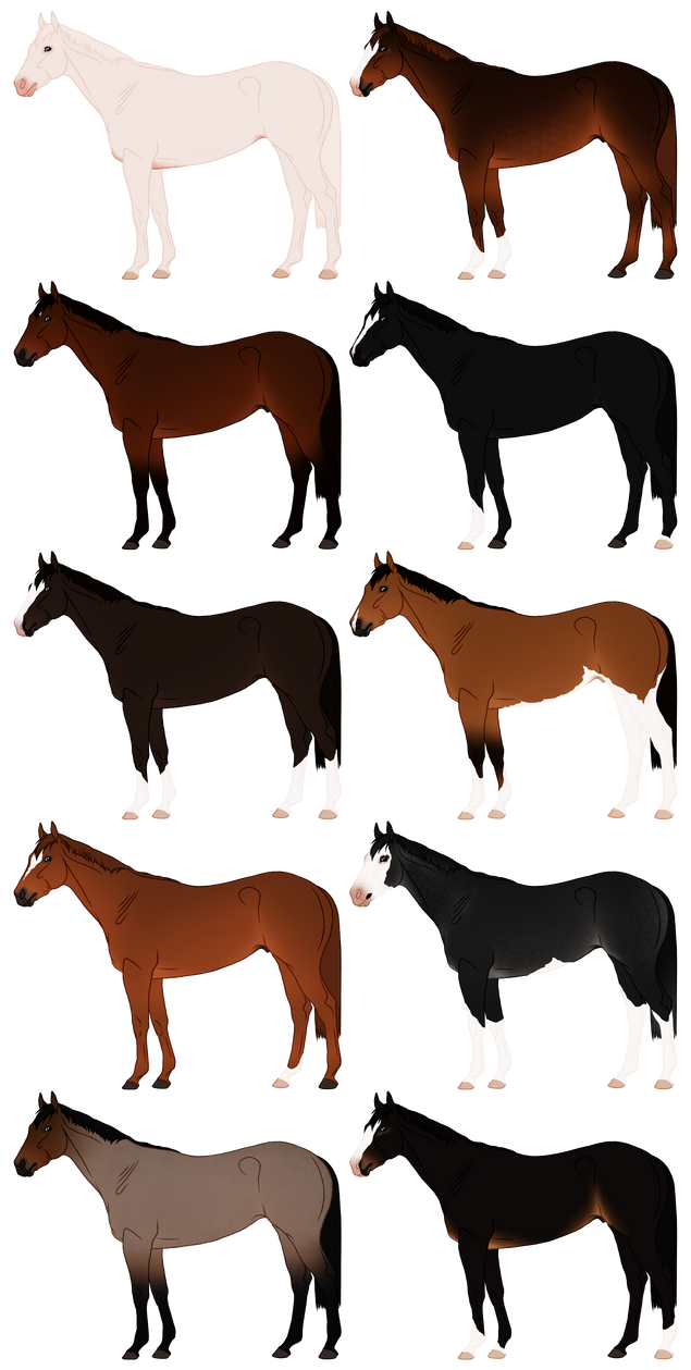 Thoroughbred Designs - 3/10 Available! by buckuroo on DeviantArt