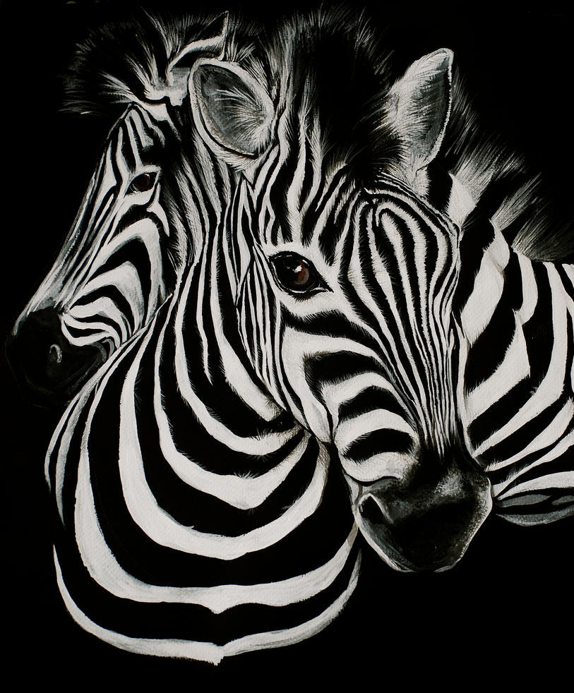 zebra stripes by Momof4boyoboys on DeviantArt