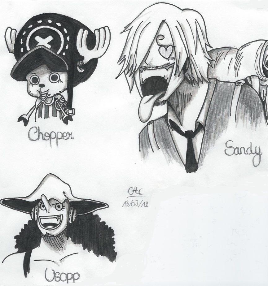 Chopper, Usopp and Sanji - One Piece by Muffinsan7 on DeviantArt