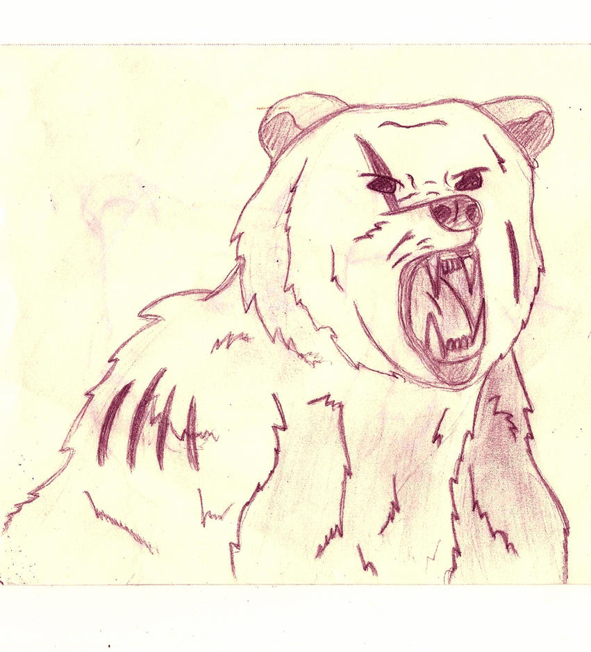 Angry Bear Sketch by fluffyattackify on DeviantArt