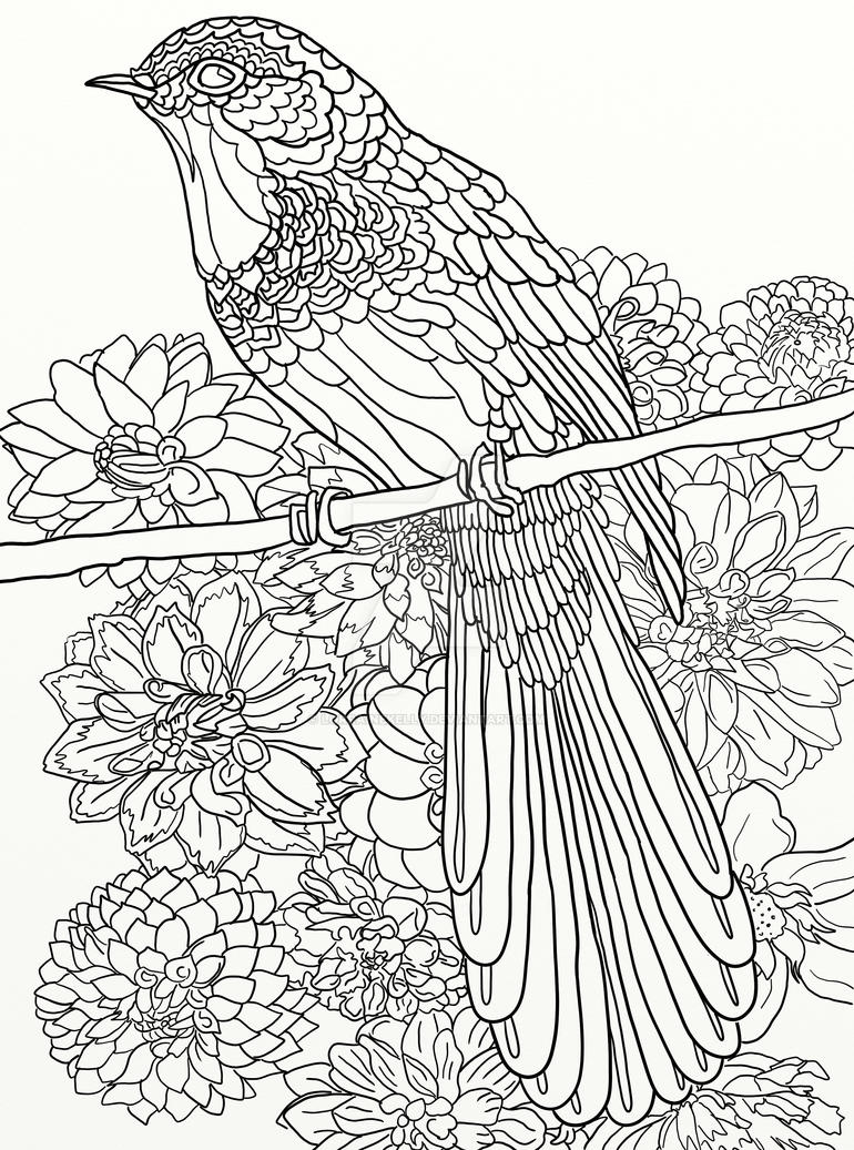 Page 16 of Australian Birds Adult Coloring Book by ...