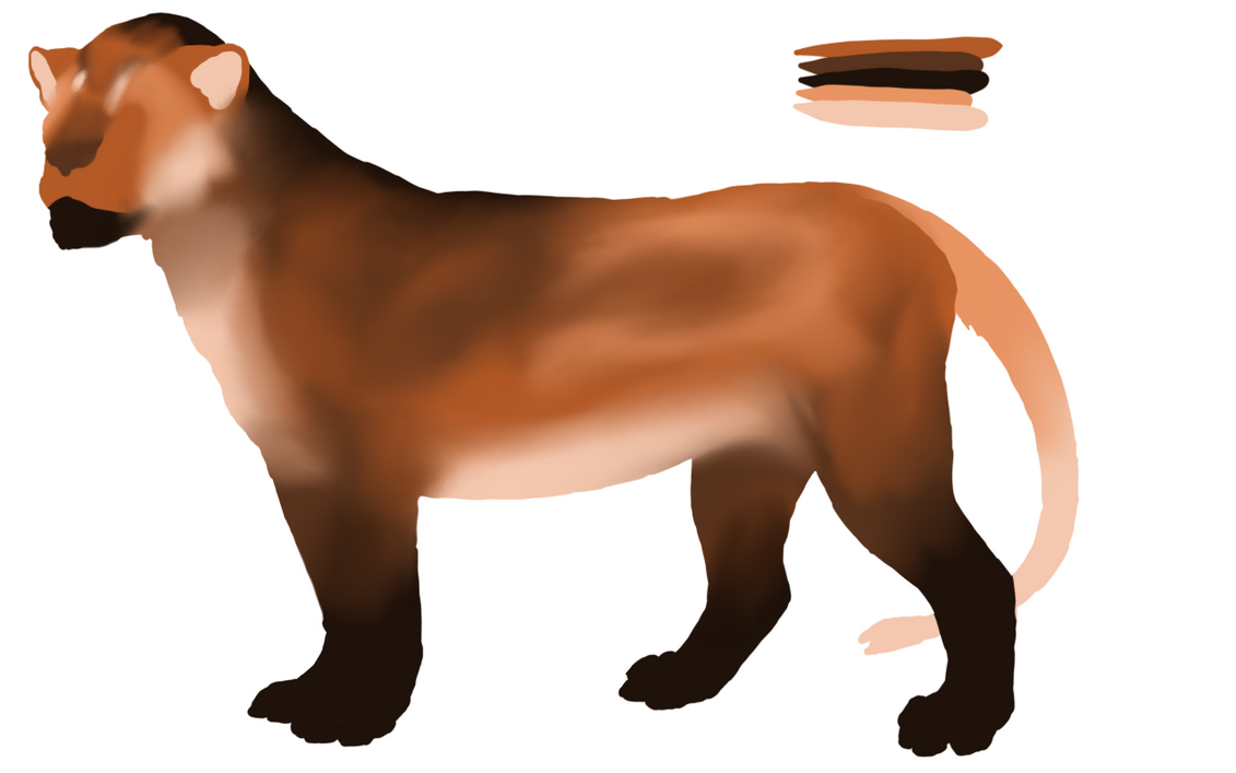 maned_wolf_lineless_v2_by_tordronlin-dct04km.png