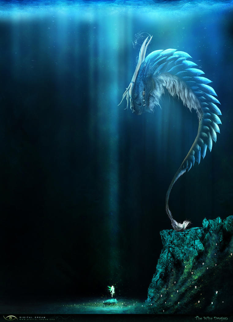 The Wise Dragon by 1-Digital-Dream