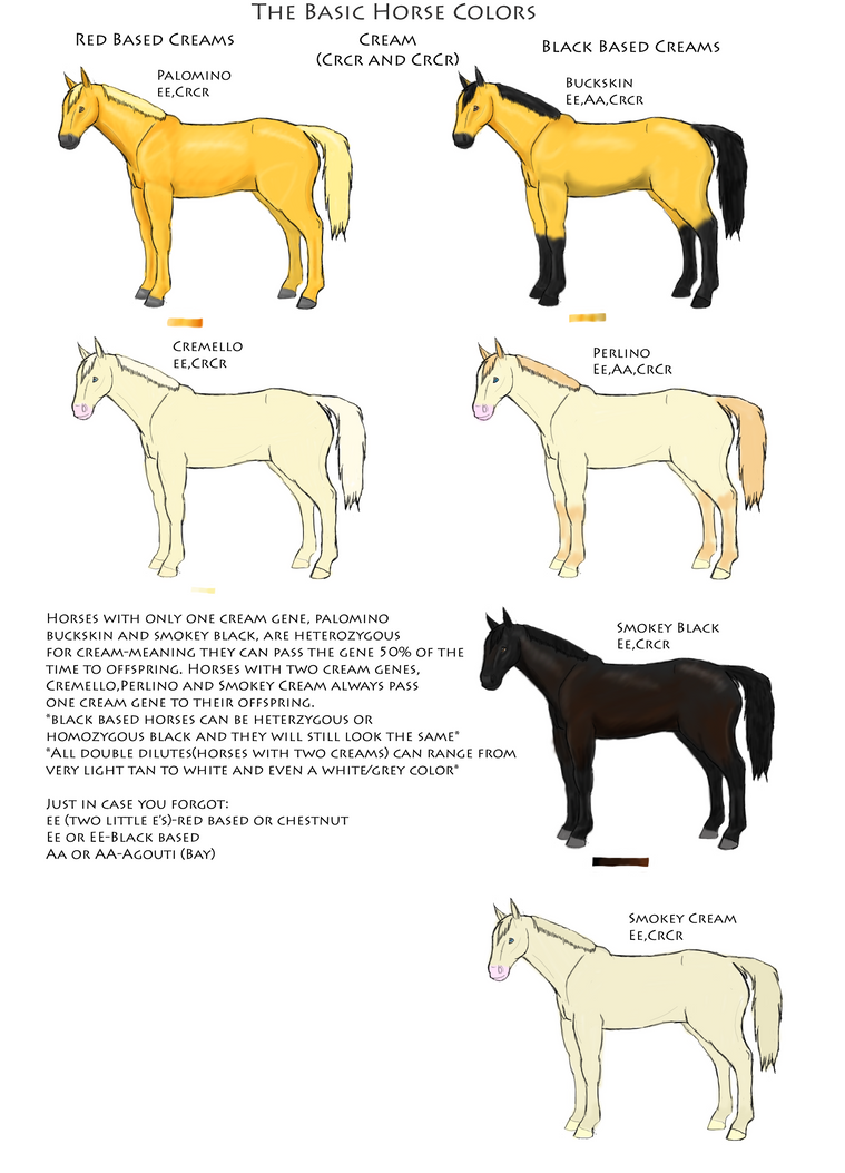 Horse Color Chart pg 2 by Snowtigress-MHC on DeviantArt