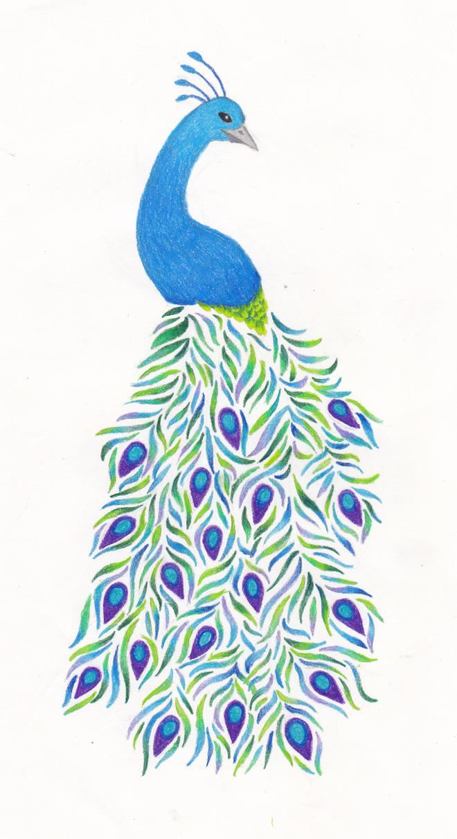 Peacock Drawing by FloraLaurel on DeviantArt