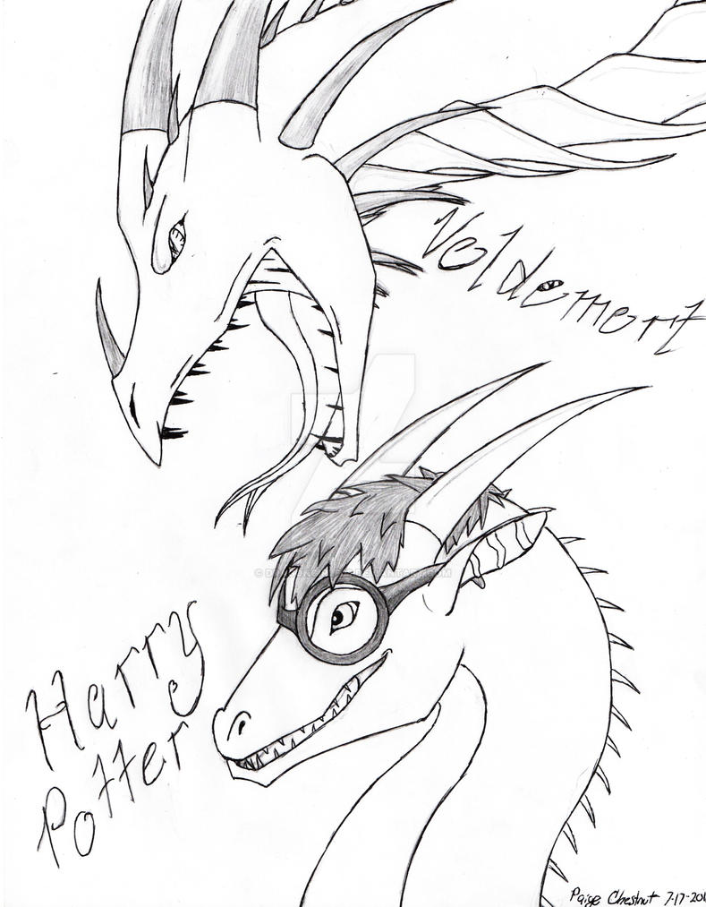 Harry Potter fanart dragons by dragongirl508 on DeviantArt