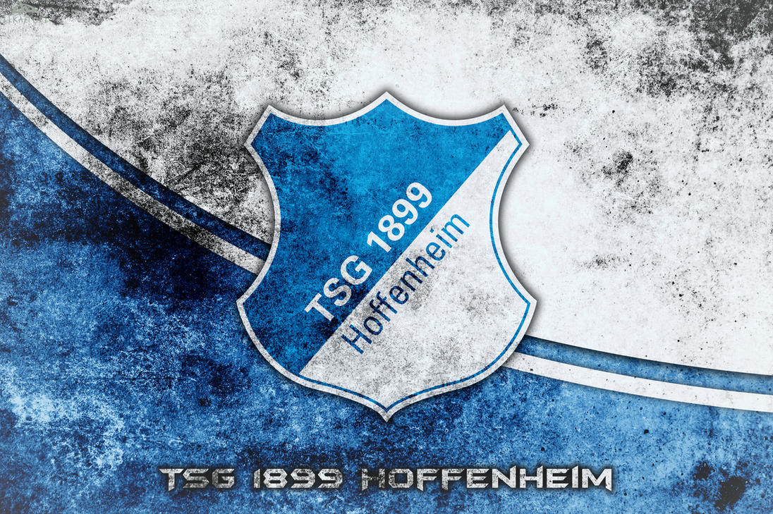 Hoffenheim Wappen TSG Pin Wappen Hoffenheim » Pins » Offizieller TSG