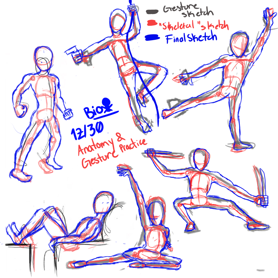 Anatomy and Gesture Practice (3/3) by BioArtHub on DeviantArt
