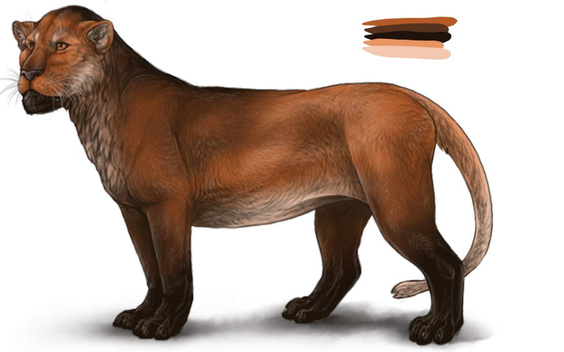 maned_wolf_lined_v2_by_tordronlin-dct04kc.png