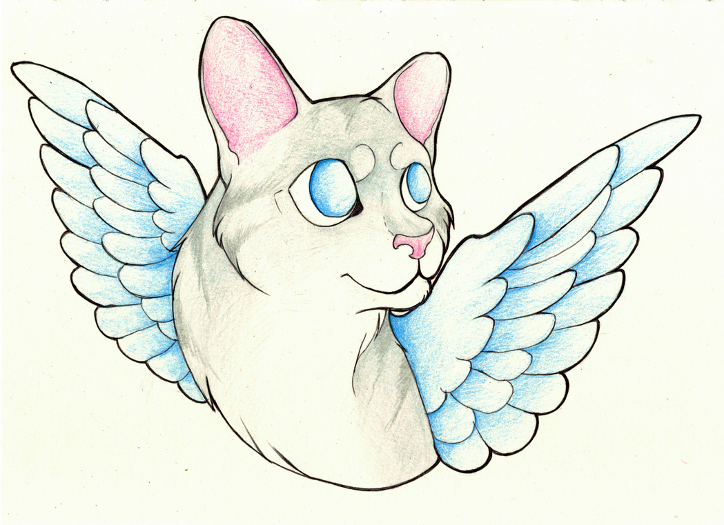 Cat Wings by StormWhiskers on DeviantArt