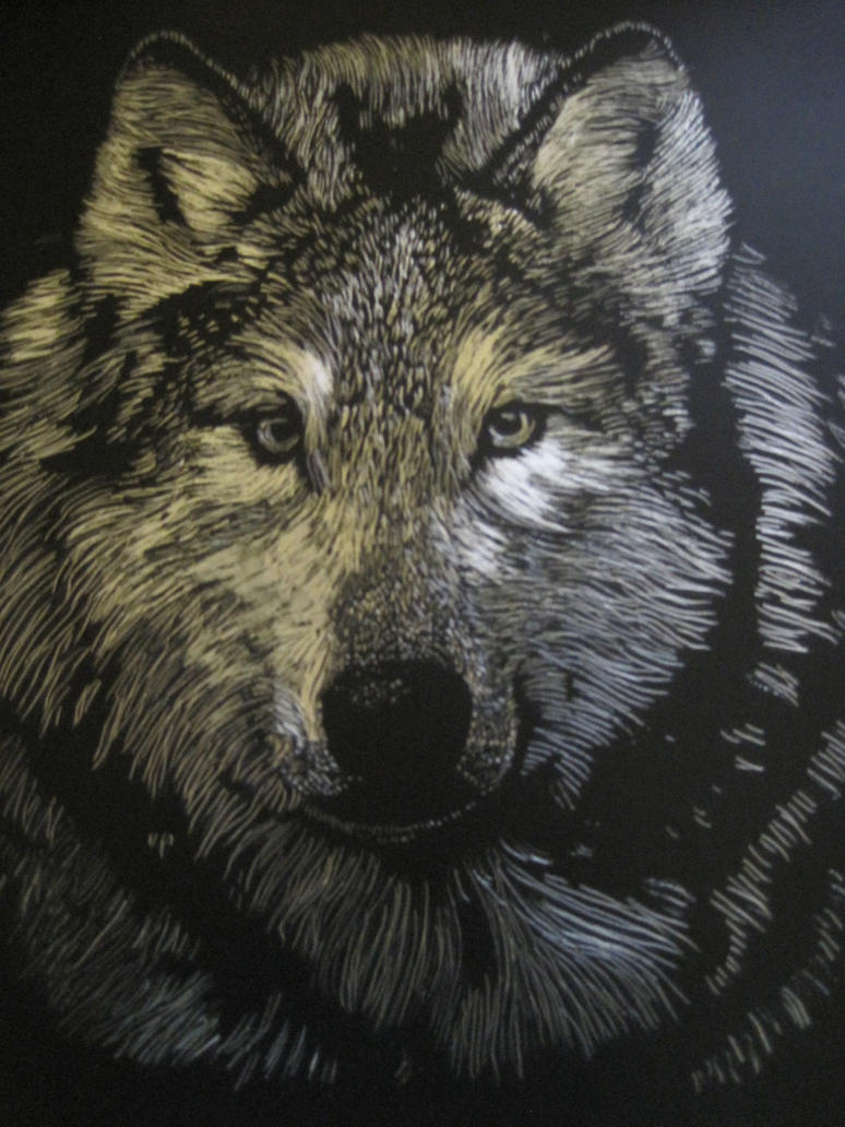Sliver Wolf by AmserBlaidyn on DeviantArt