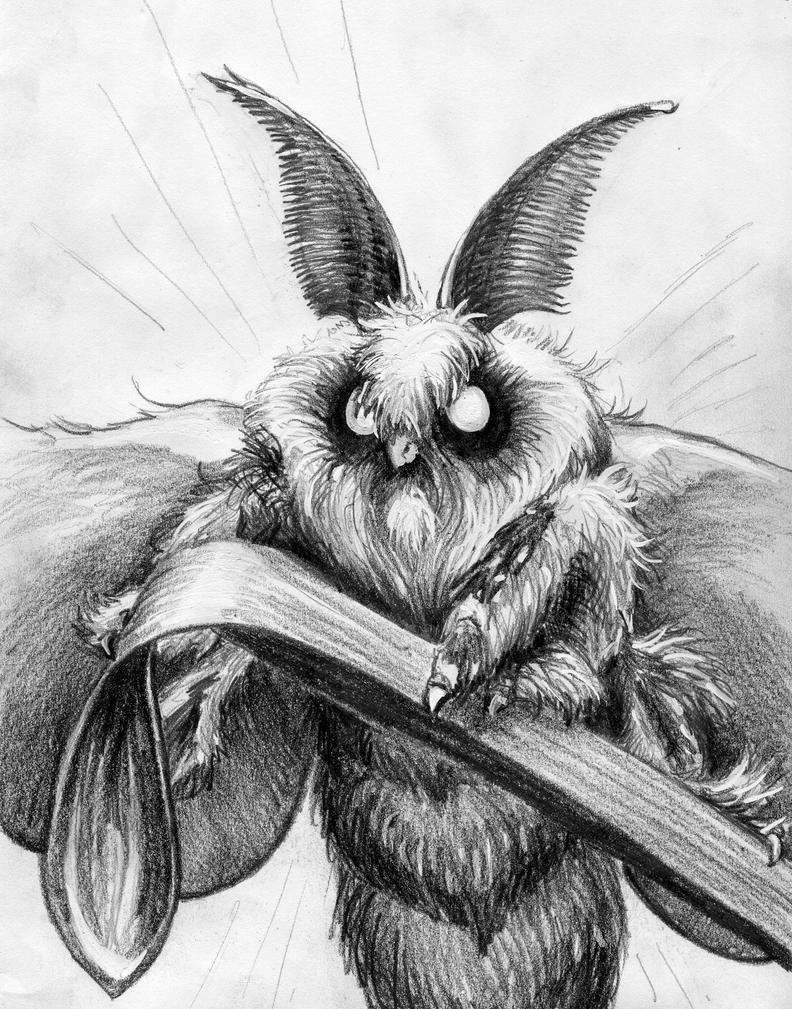 Image result for poodle moth art