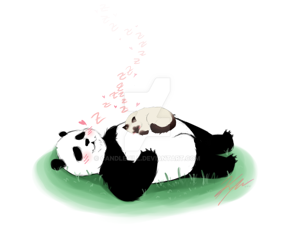Panda And Cat by CandleHill on DeviantArt
