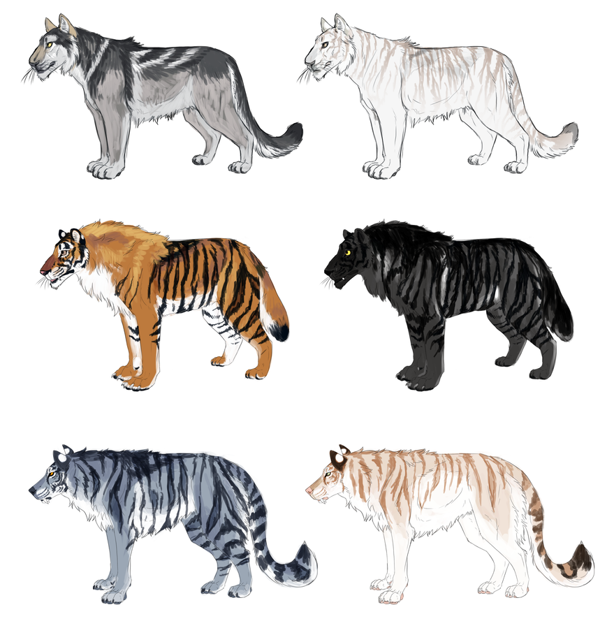 Tiger Wolf Hybrid Adopts [OPEN] by JatoWhitz on DeviantArt
