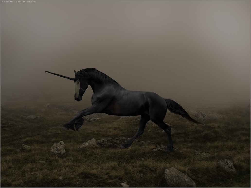 Evil Unicorn... by imp-studios on DeviantArt