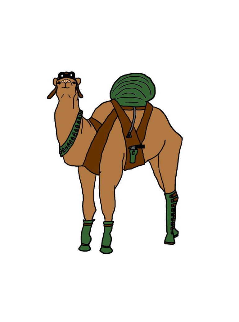 Image result for parachuting camels