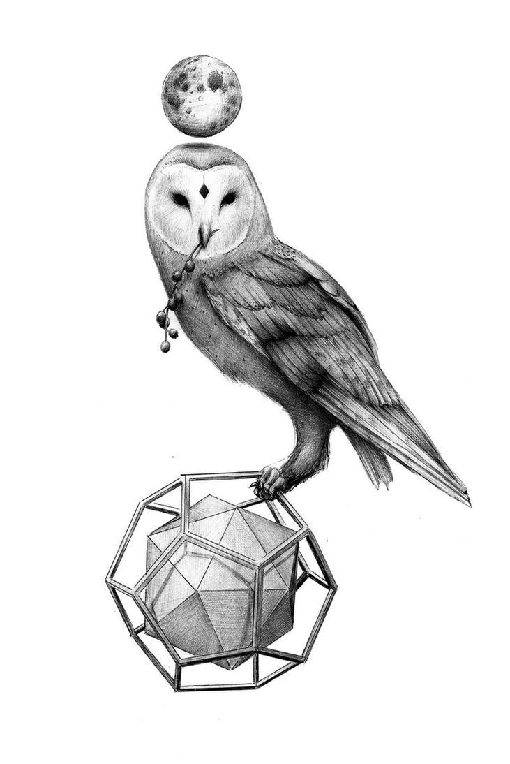 Owl - ballpoint pen artwork by 05Na on DeviantArt
