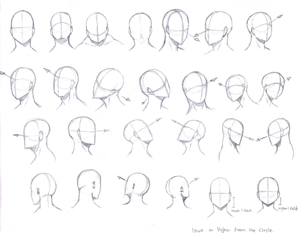  Head Angles by KCSteiner on DeviantArt