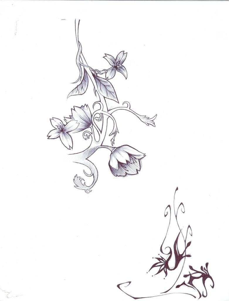 flower vine sketch by TMT89 on DeviantArt
