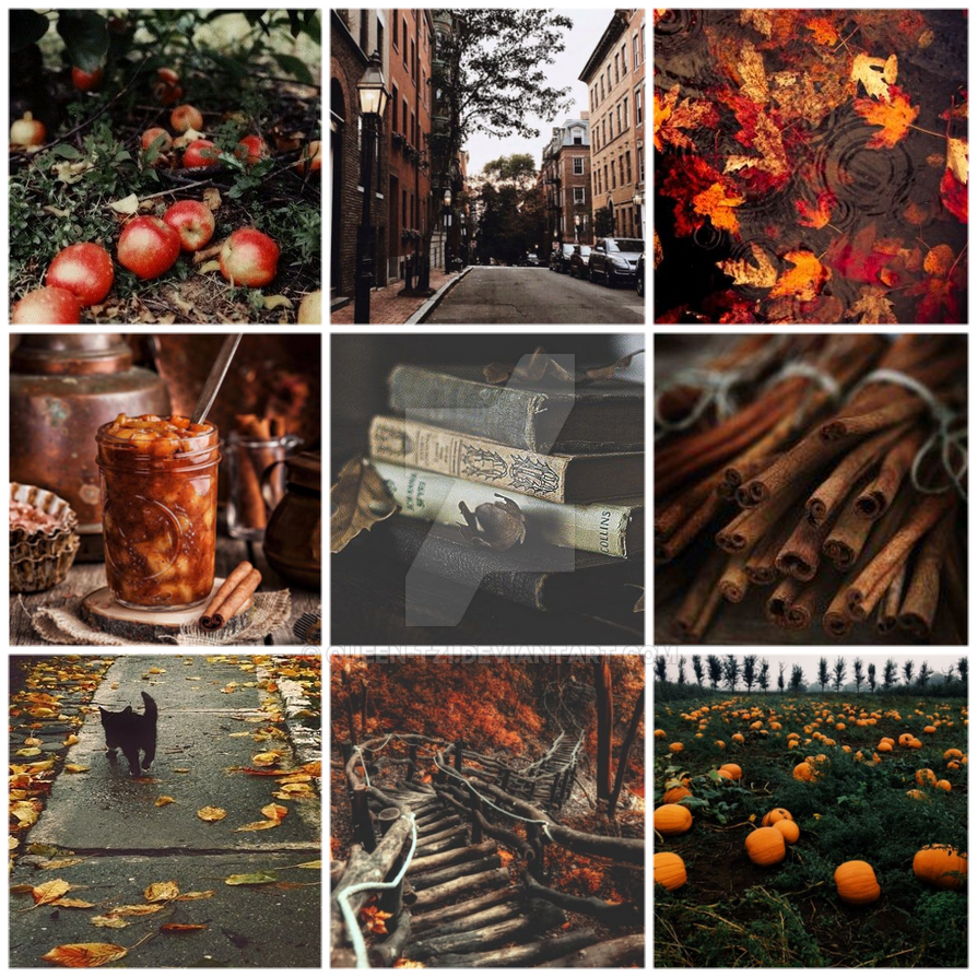 Autumn moodboard mystery adopt {OPEN} by Queen-tzi on DeviantArt