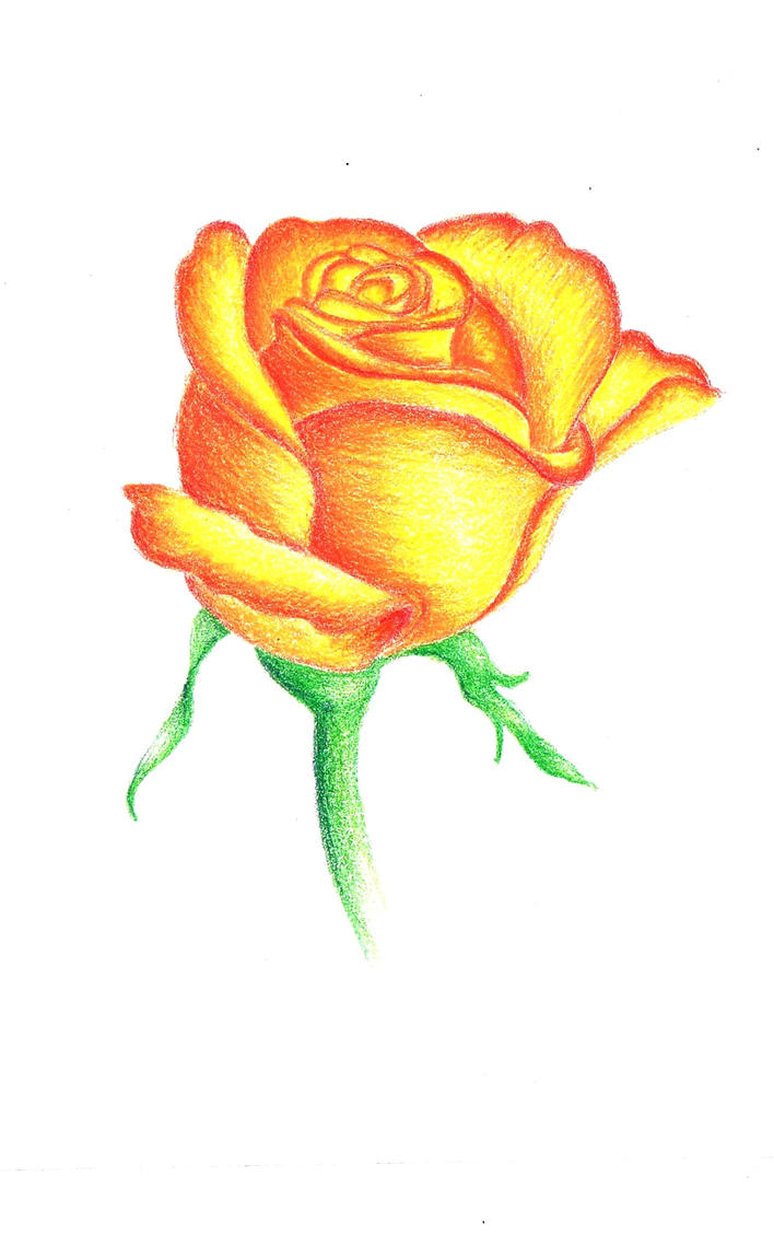 Yellow Rose of Friendship by MistRFuckingSunshine on