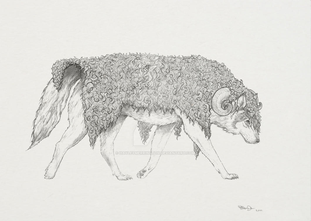 Wolf in Sheep's Clothing by hayleymerrington on DeviantArt