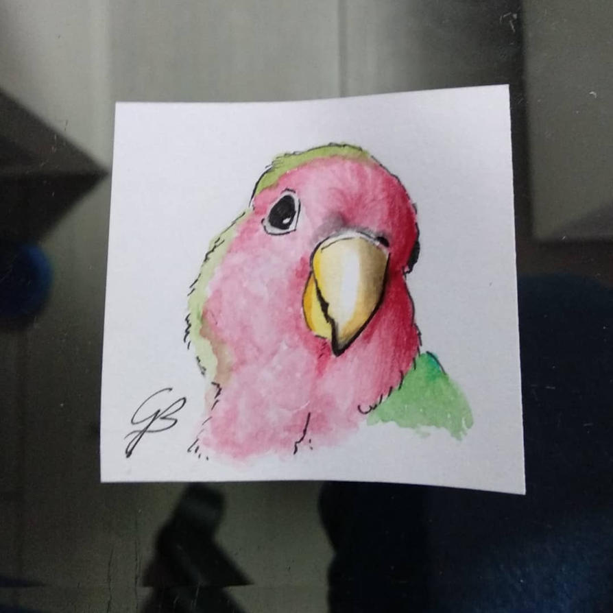 my_parrot__polly_by_girlscoutdragon-dcbsnit