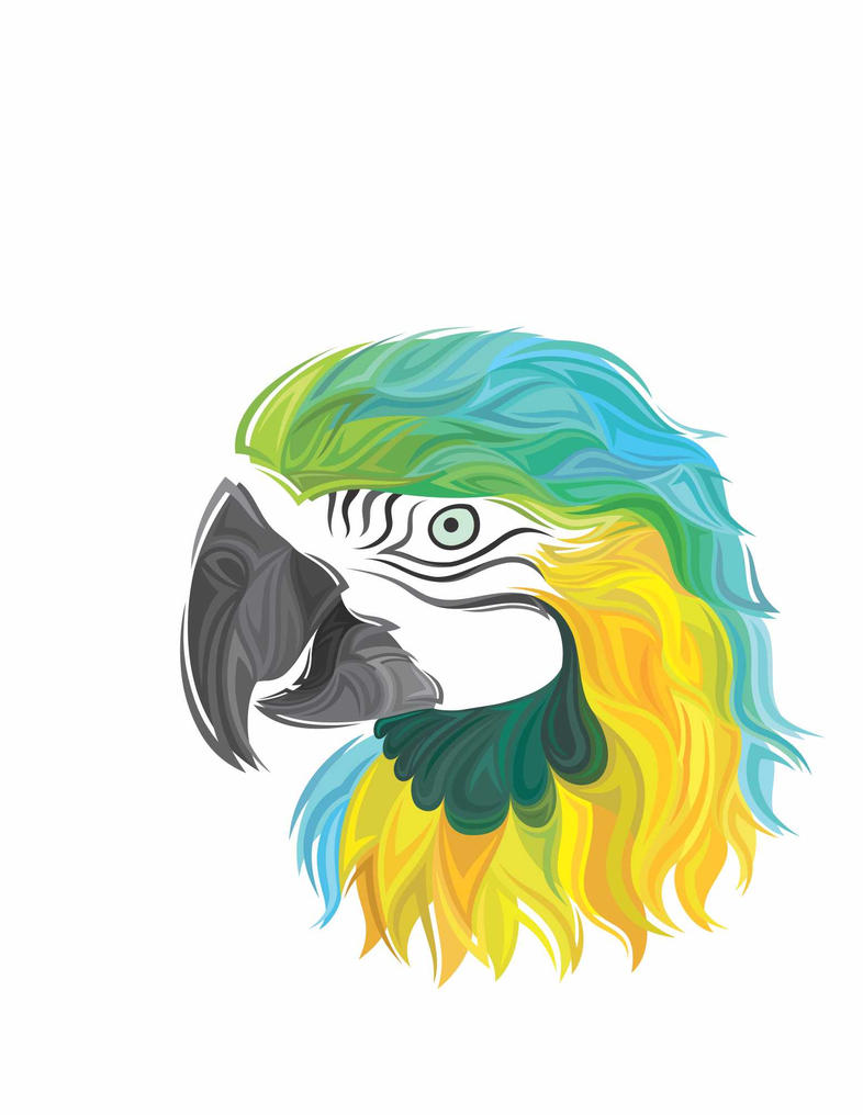 Werd-macaw by awkwerd on DeviantArt