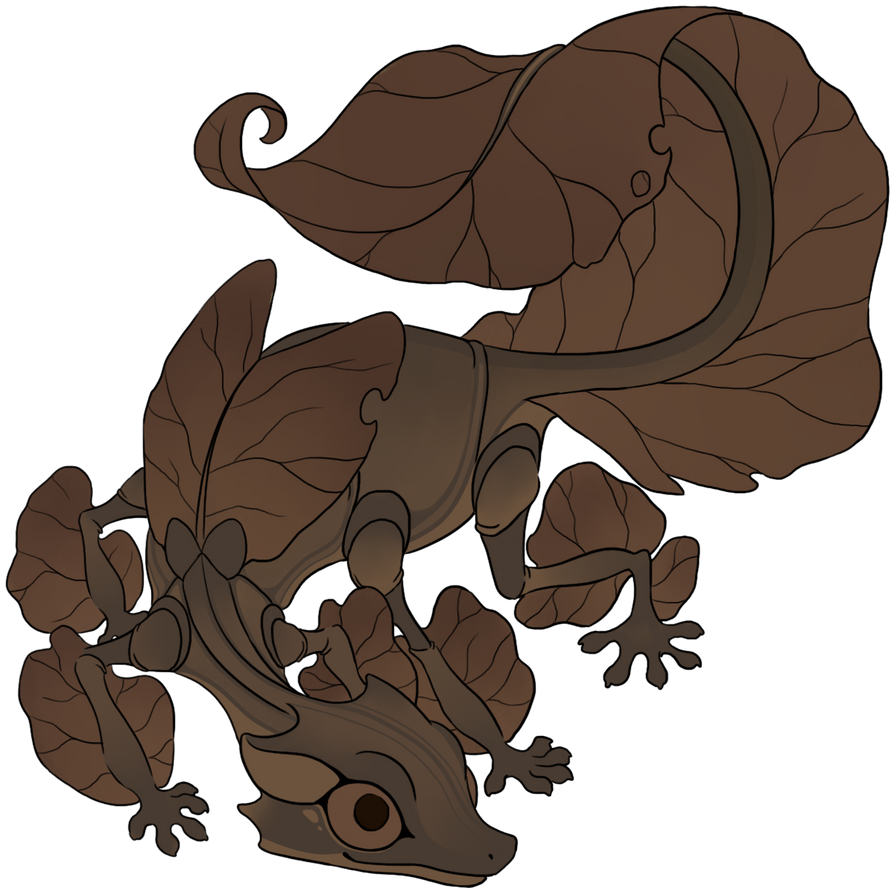 leaf_gecko_contest_by_whimsicalwoods-dbr0e4x.png