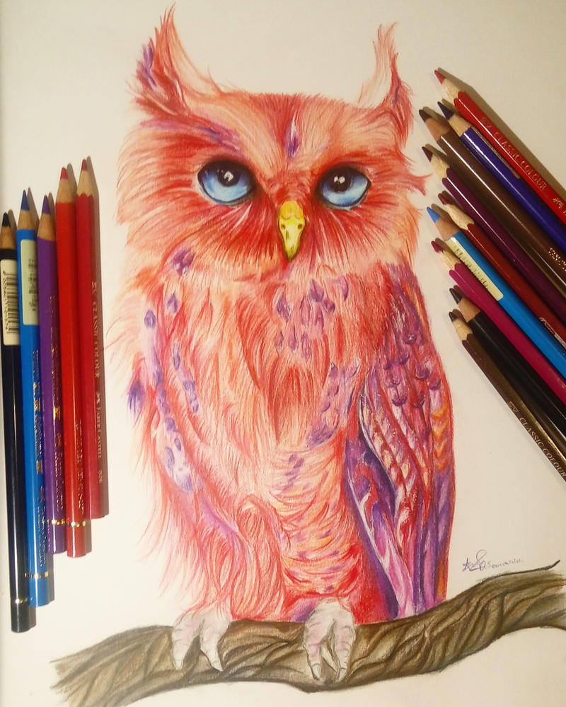 Red Owl by StarlightPhoenixDS on DeviantArt