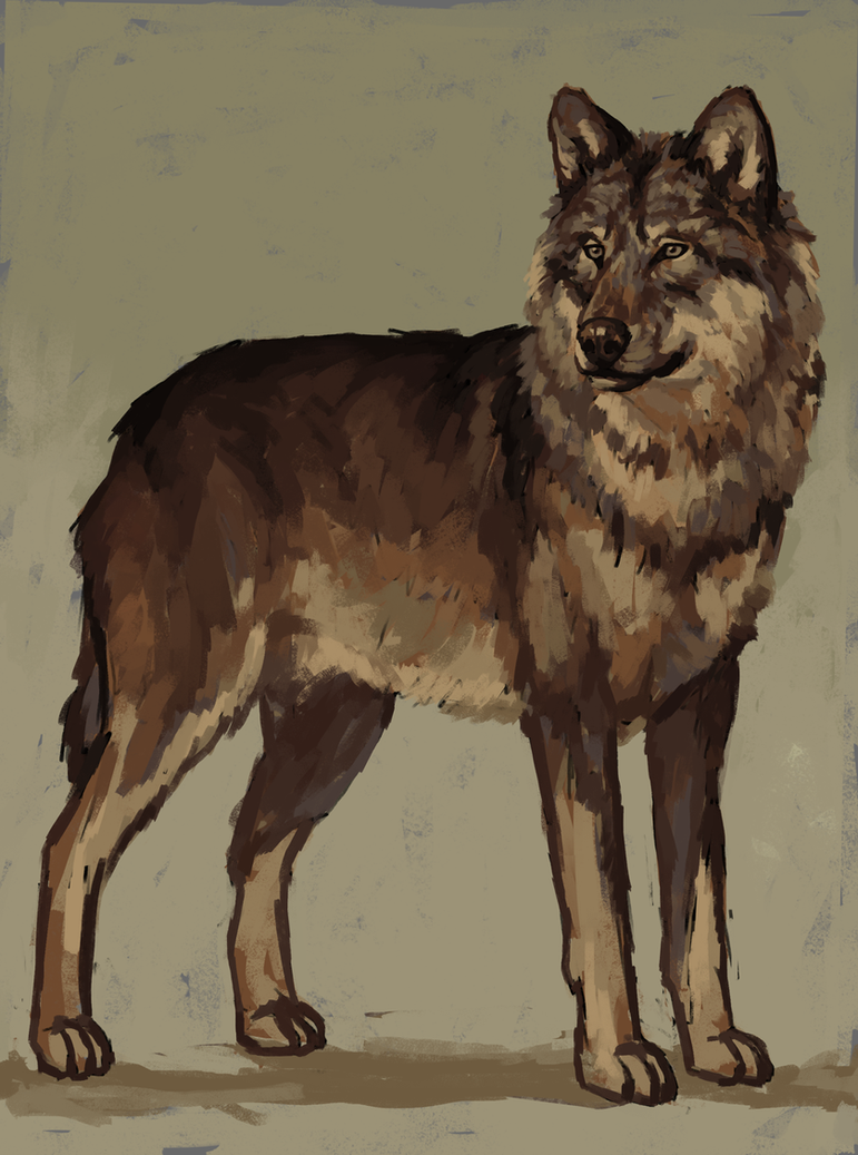 Wolf full form by Unilt