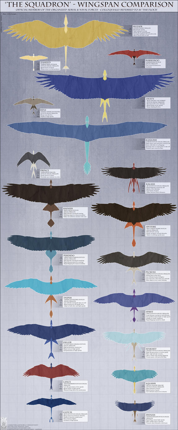 Bird Comparison Chart