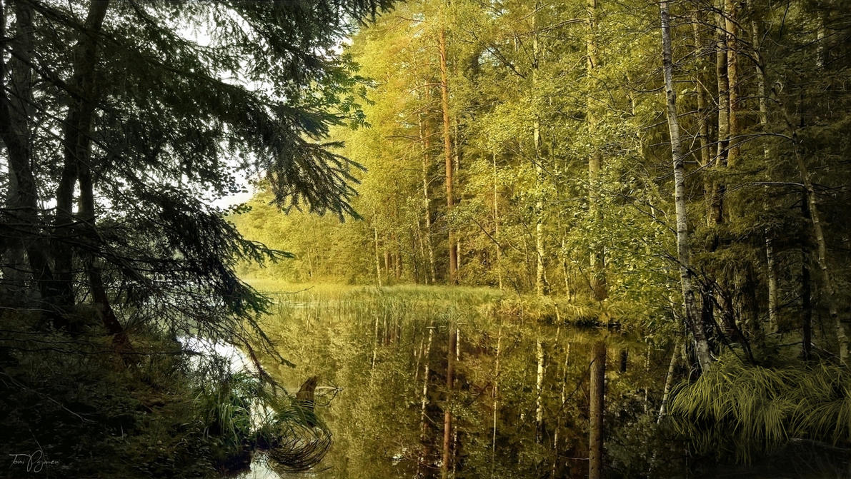 August Forest Lake by Pajunen on DeviantArt
