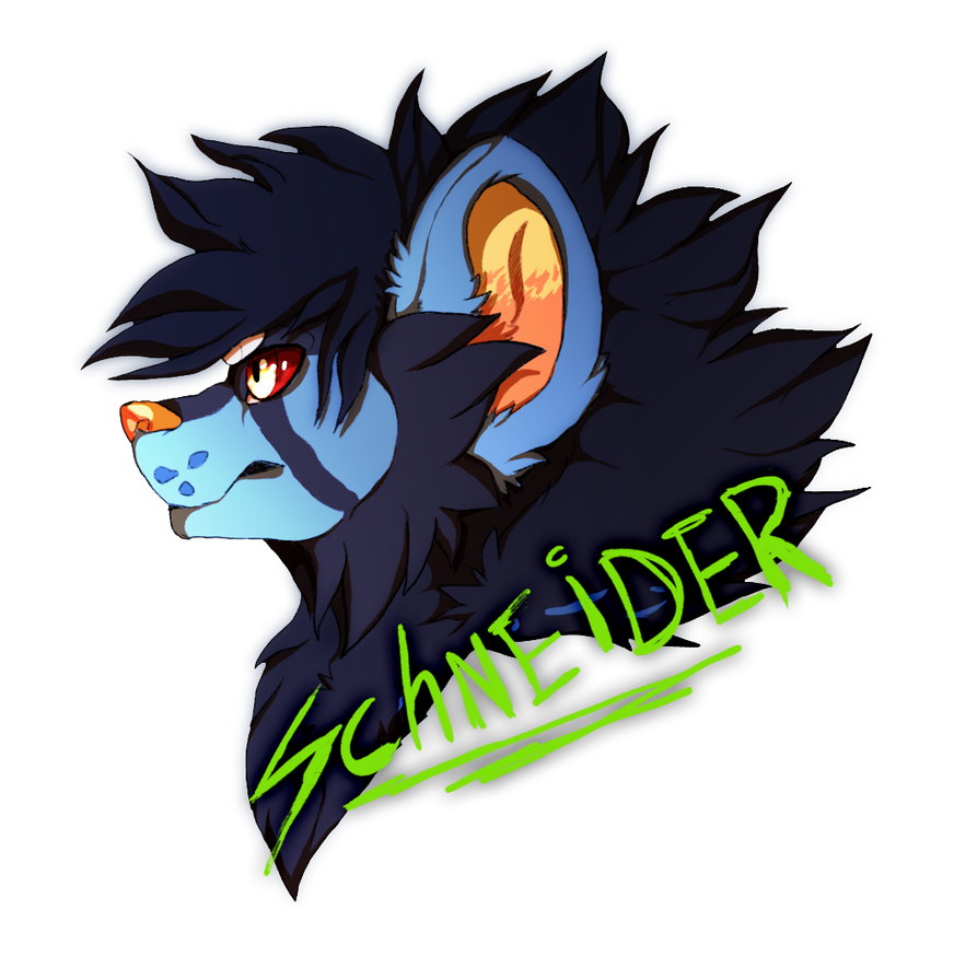Schneider Avatar