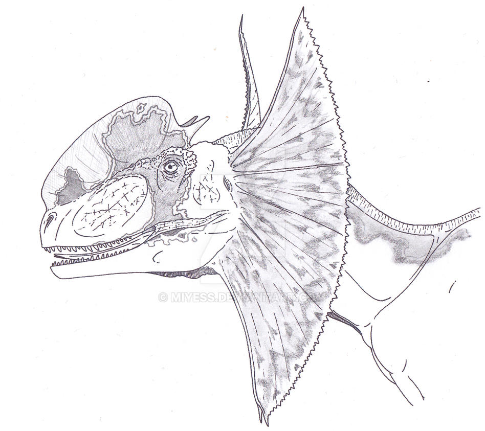 dilophosaurus coloredmiyess on deviantart