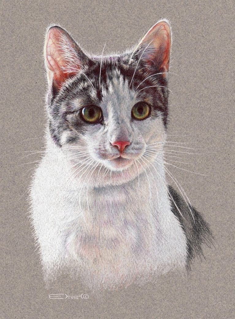  Cat Portrait  2 by EsthervanHulsen on DeviantArt