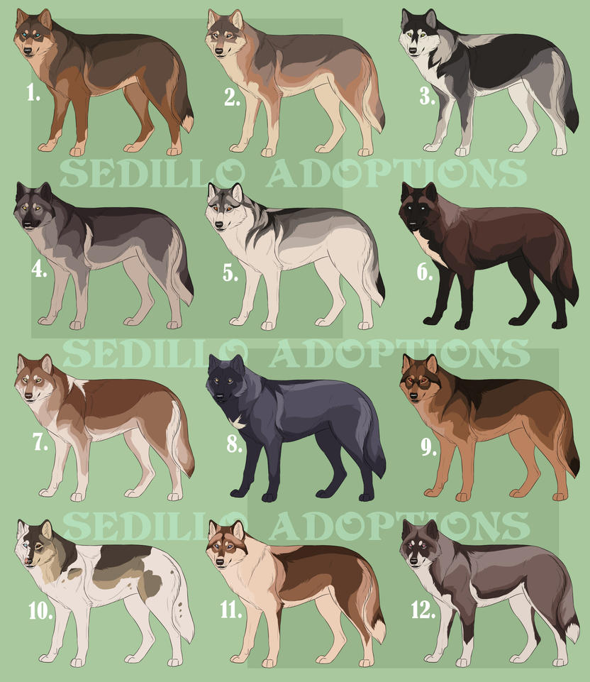 natural_wolf_adopts__set_15__open____closed_by_nature_ridge_adopts-dccxngm.jpg