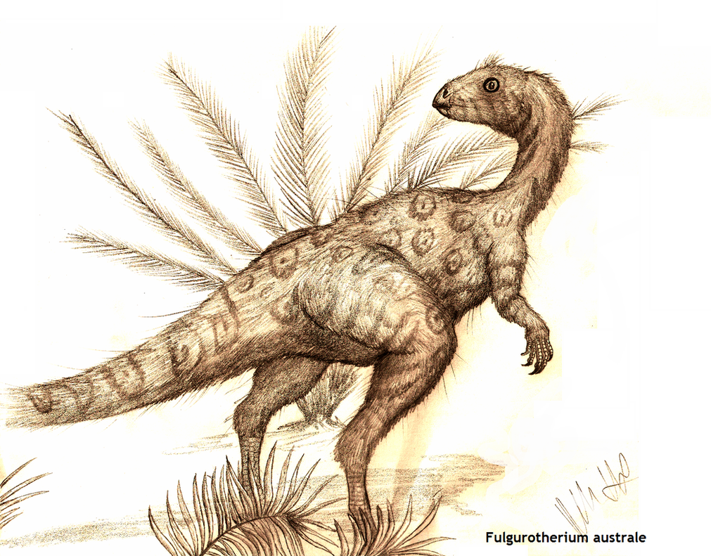 Fulgurotherium australe by Teratophoneus