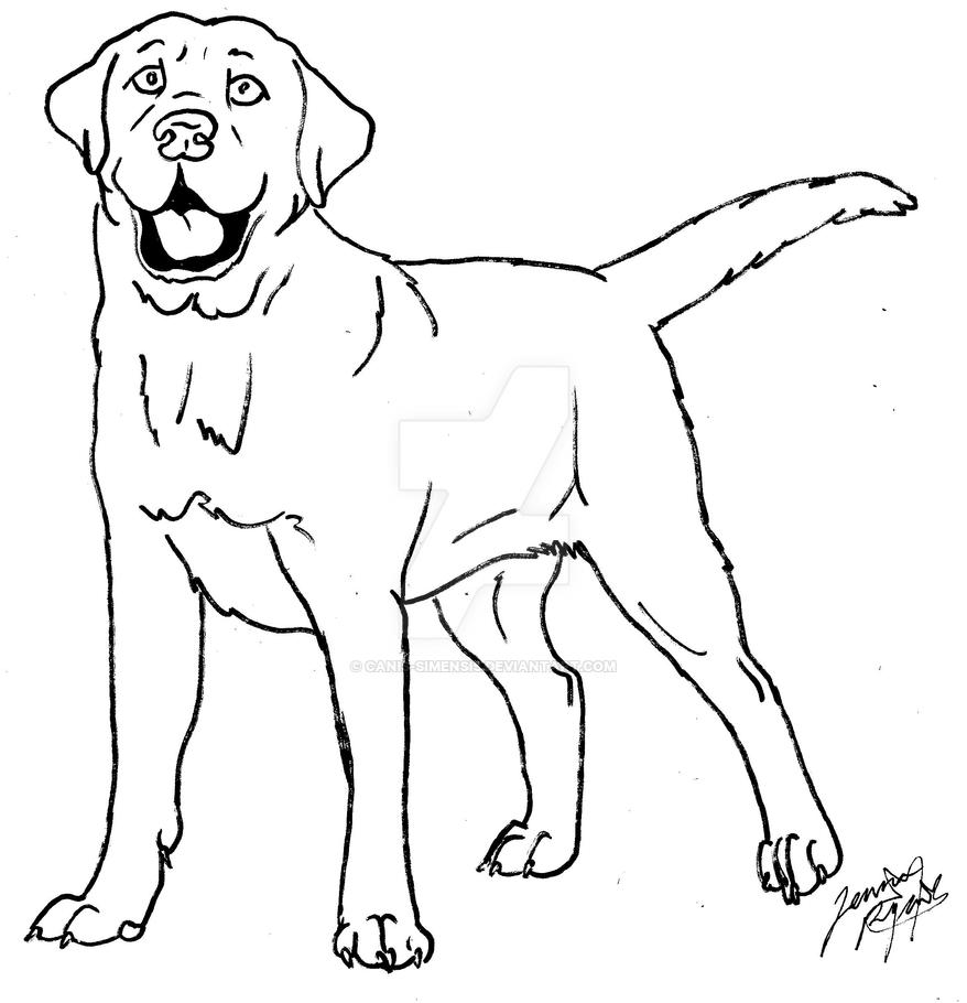 labrador coloring page by Canis-Simensis on DeviantArt