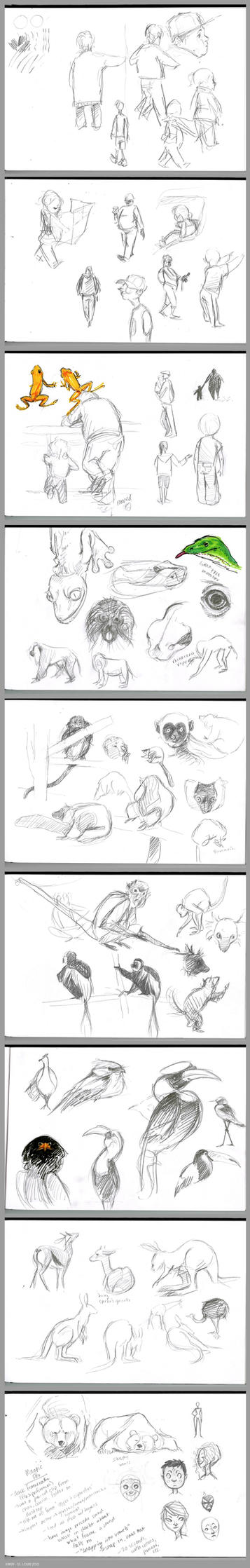 St. Louis Zoo sketches by katie8787 on DeviantArt